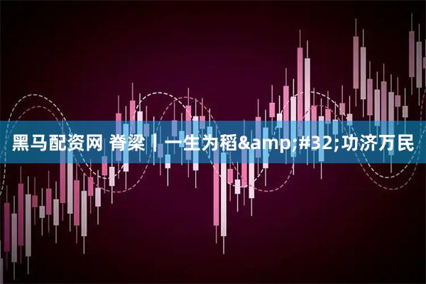 黑马配资网 脊梁｜一生为稻 功济万民